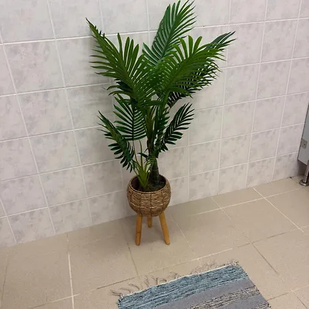 Feriehus Quartos Proximo Ao Santuario Fátima